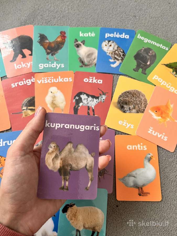 Gyvunu korteles mokinimui vaikams - nuotraukos Nr. 2
