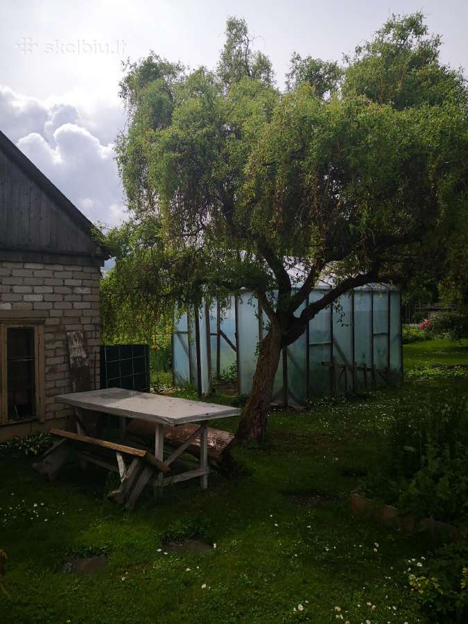 Sodo sklypas prie tvenkinio - nuotraukos Nr. 7