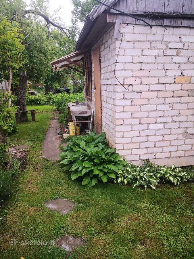 Sodo sklypas prie tvenkinio - nuotraukos Nr. 11