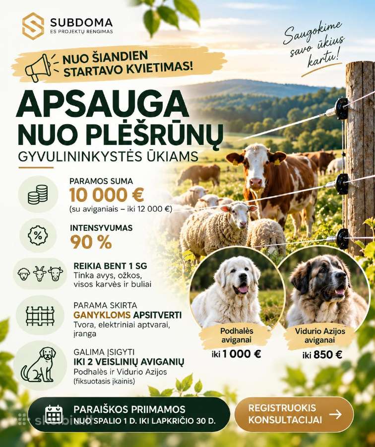 Es Paramos / Verslo Ir Investiciniai Projektai - nuotraukos Nr. 2