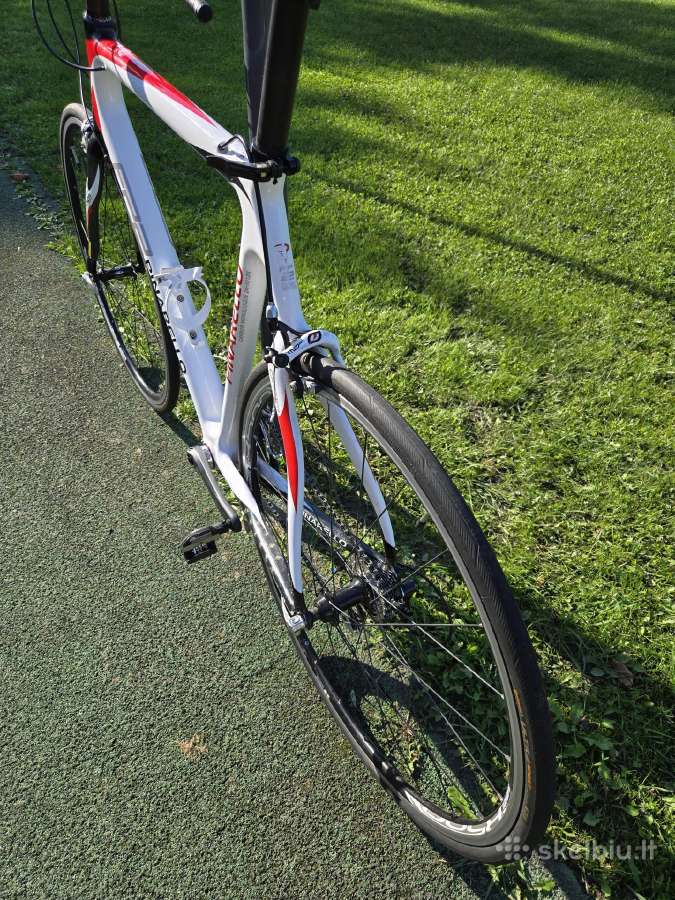 Plentinis dviratis Pinarello - nuotraukos Nr. 7