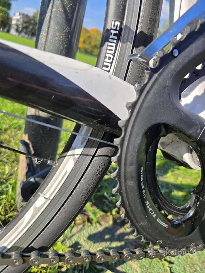Plentinis dviratis Pinarello - nuotraukos Nr. 12