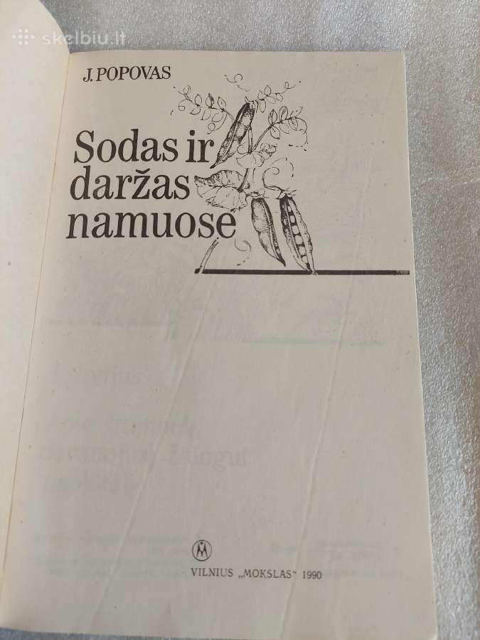 Sodas ir daržas namuose - nuotraukos Nr. 2
