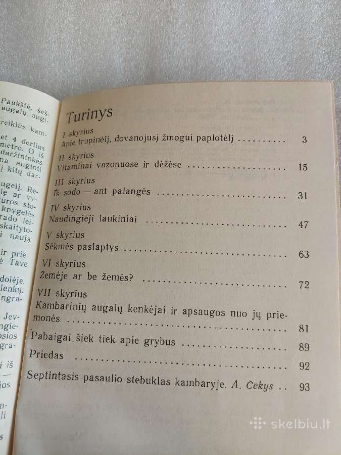 Sodas ir daržas namuose - nuotraukos Nr. 6