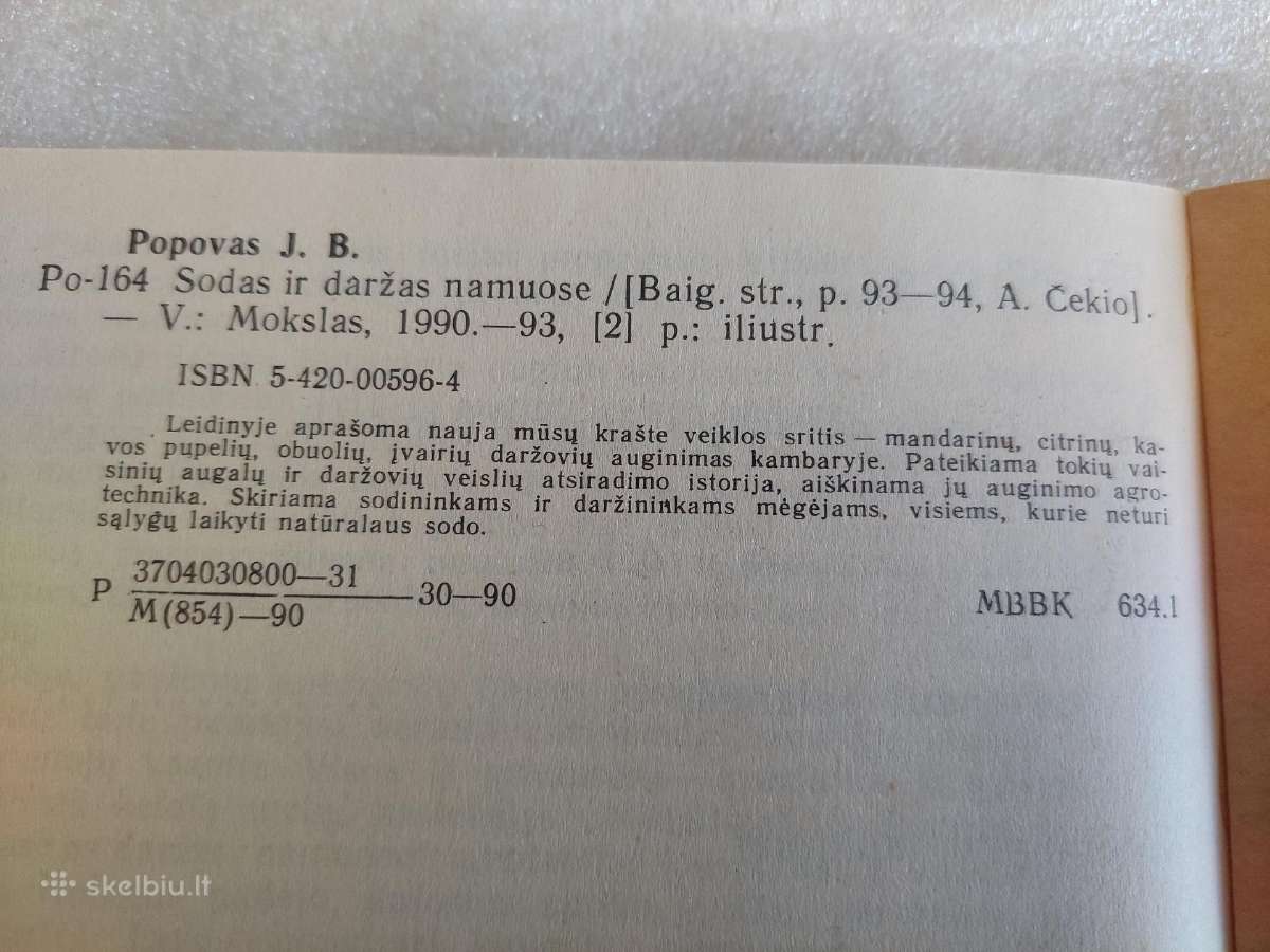 Sodas ir daržas namuose - nuotraukos Nr. 7