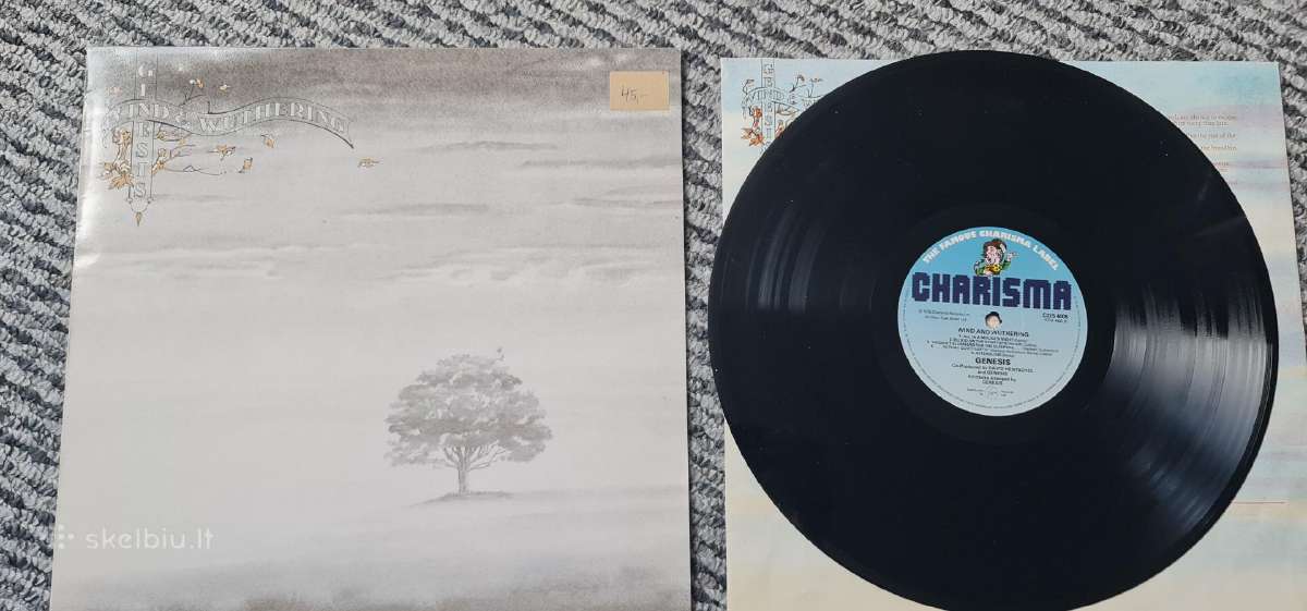 Vinilinės plokštelės Lp - nuotraukos Nr. 11