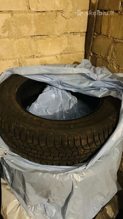 Hankook Winter i*cept Evo2 suv - nuotraukos Nr. 3