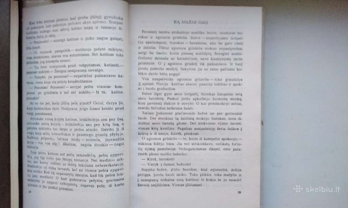 M. Sluckis. Ežys ir saulė. 1985 m. - nuotraukos Nr. 6