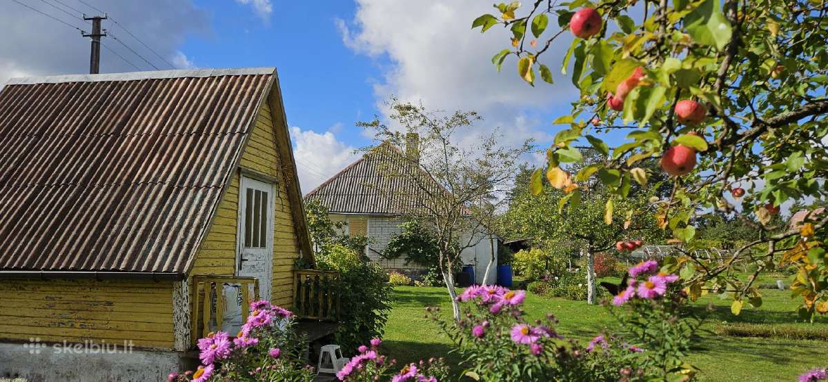 Parduodu sodą Alytaus r. SB"pušelė" - nuotraukos Nr. 3