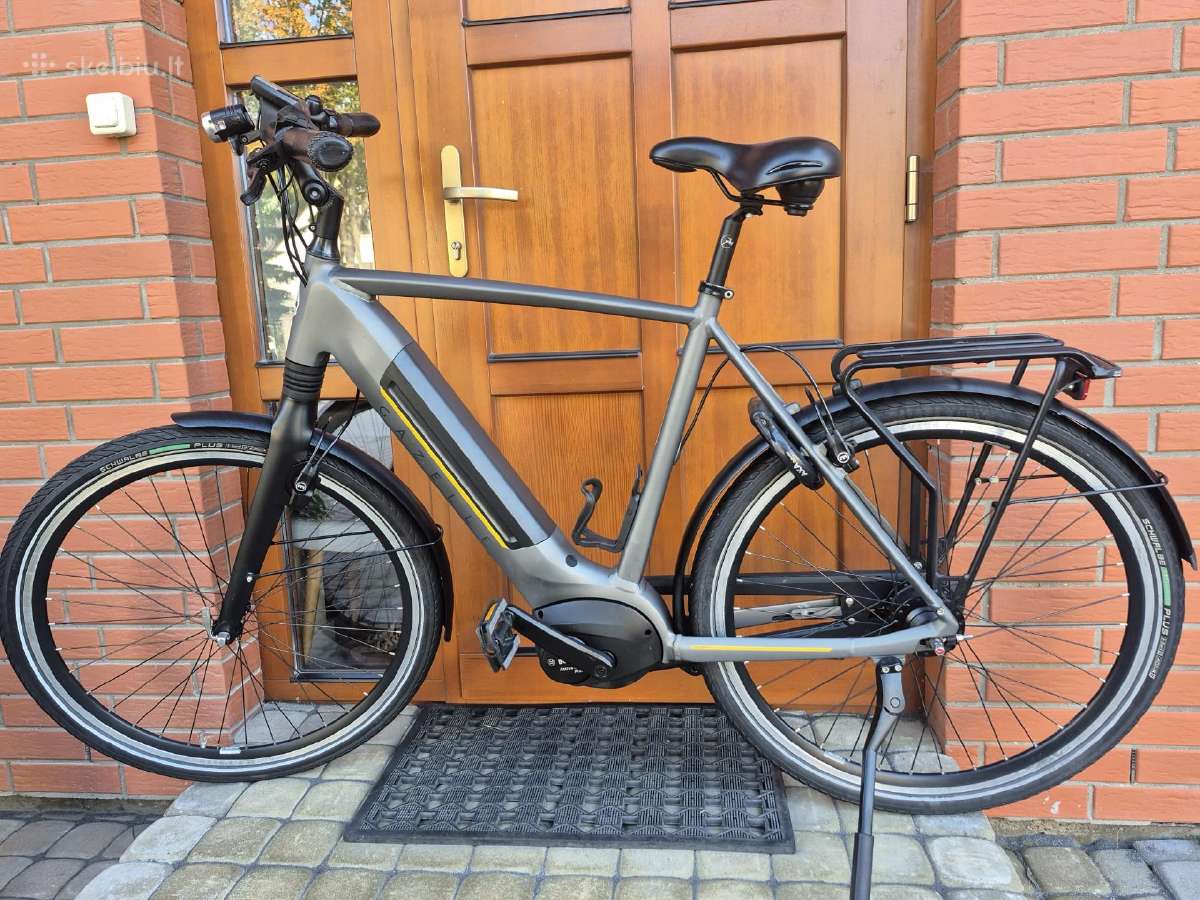 Gazelle Ultimate C8 Plus XL dydis - nuotraukos Nr. 2