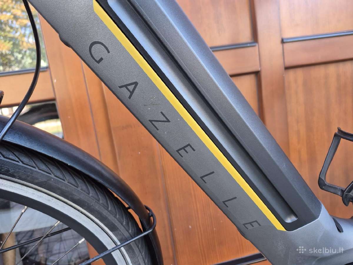 Gazelle Ultimate C8 Plus XL dydis - nuotraukos Nr. 4
