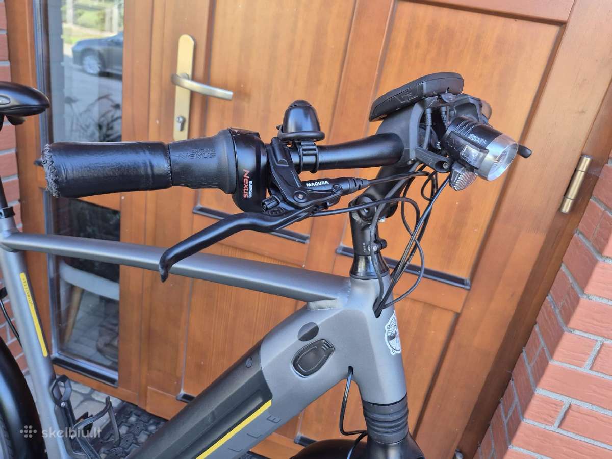 Gazelle Ultimate C8 Plus XL dydis - nuotraukos Nr. 6