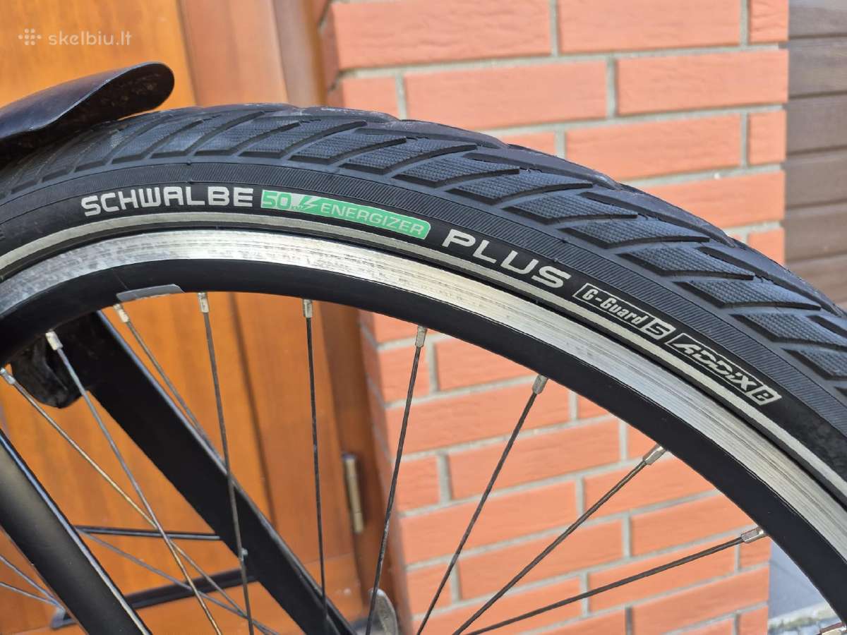 Gazelle Ultimate C8 Plus XL dydis - nuotraukos Nr. 11