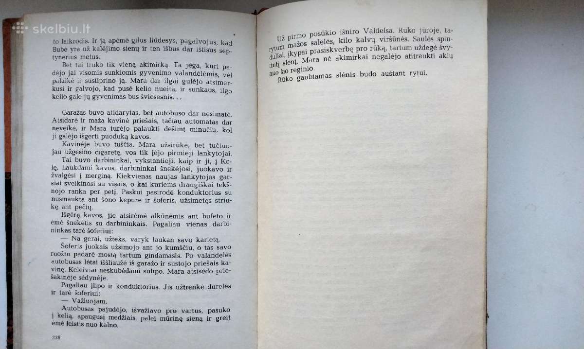 K. Kasola. Bubės sužadėtinė. 1966 m. leid. - nuotraukos Nr. 6