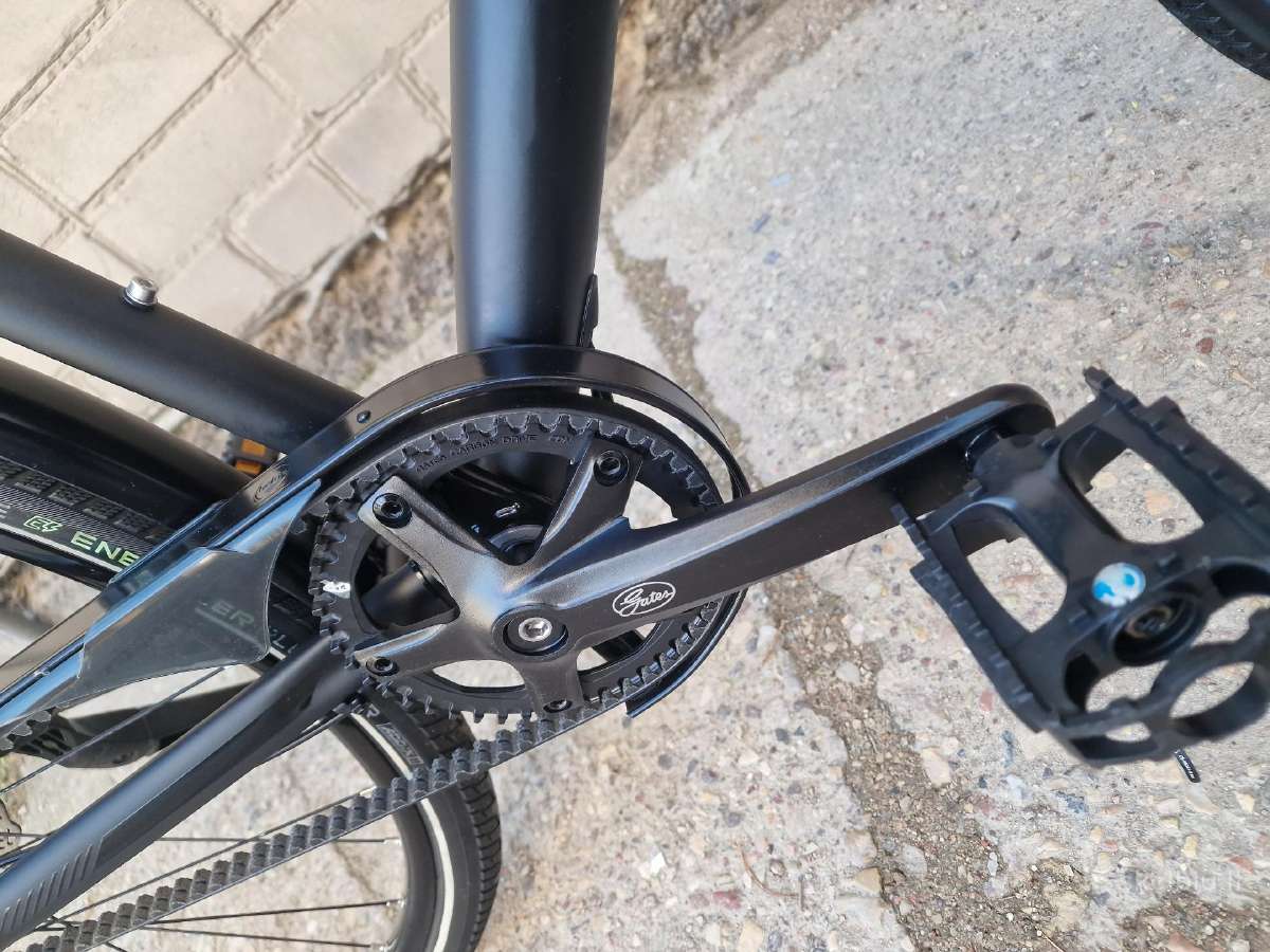 Falter ( shimano alfine 11 dirzeliu varomas) - nuotraukos Nr. 7