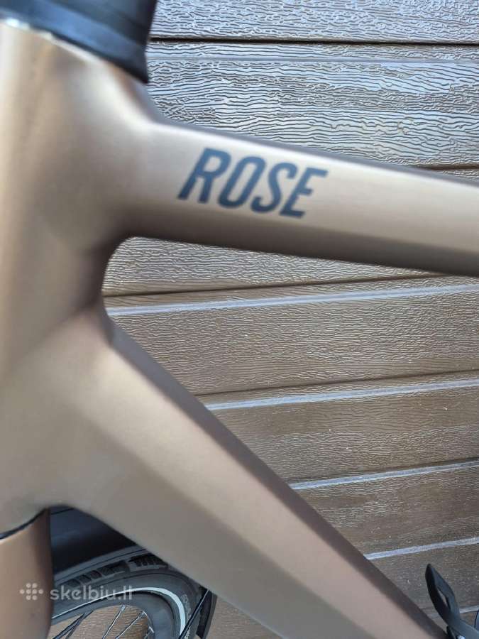 Rose Alfine 11,diržu varomas - nuotraukos Nr. 6