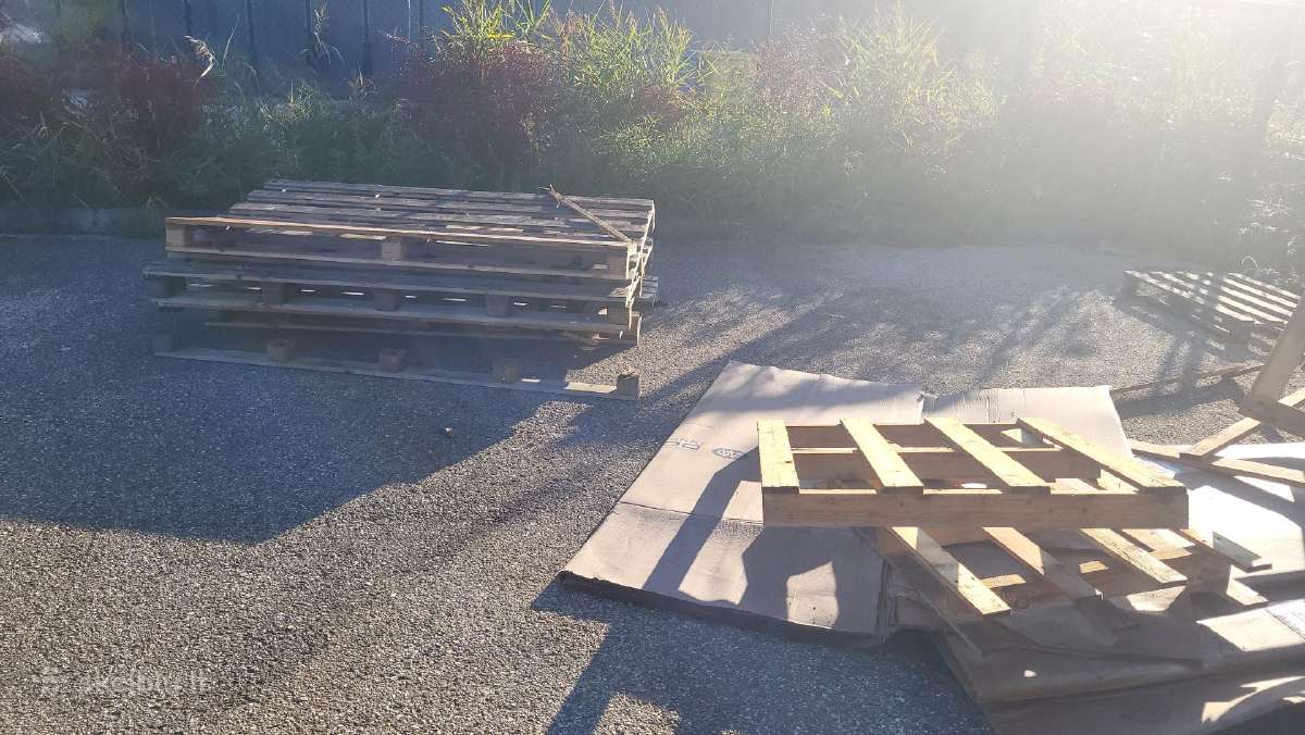 Dovanojama mediena.išsivežti patiem - nuotraukos Nr. 2