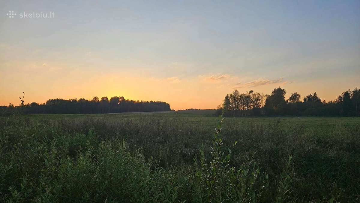 Parduodami 3,06 ha ir 0.81ha žemės ūkio paskirties - nuotraukos Nr. 2