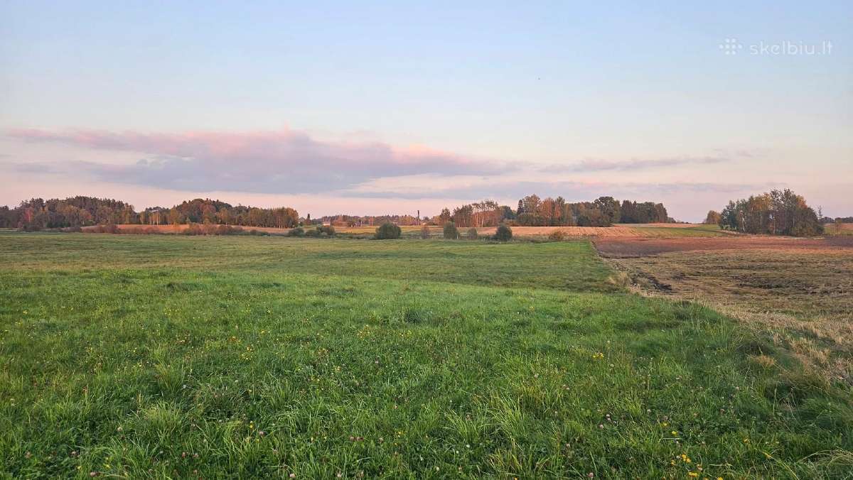 Parduodami 3,06 ha ir 0.81ha žemės ūkio paskirties - nuotraukos Nr. 3