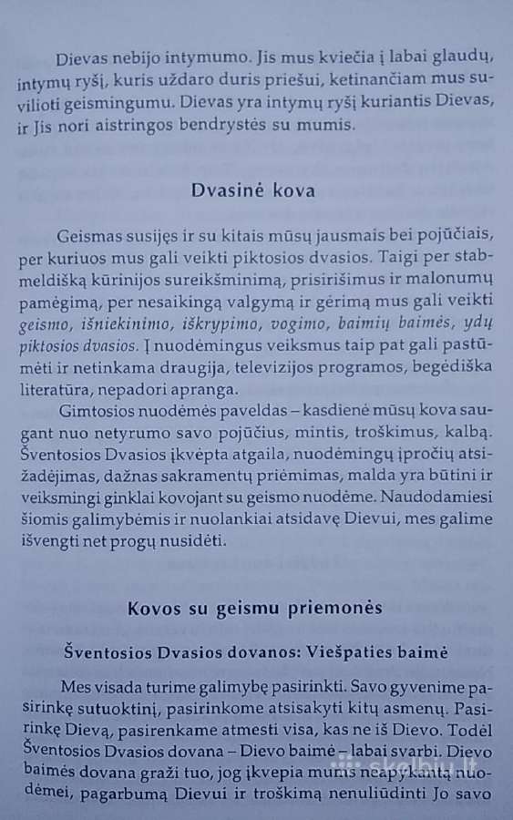 Pasinerk septynis kartus - nuotraukos Nr. 5