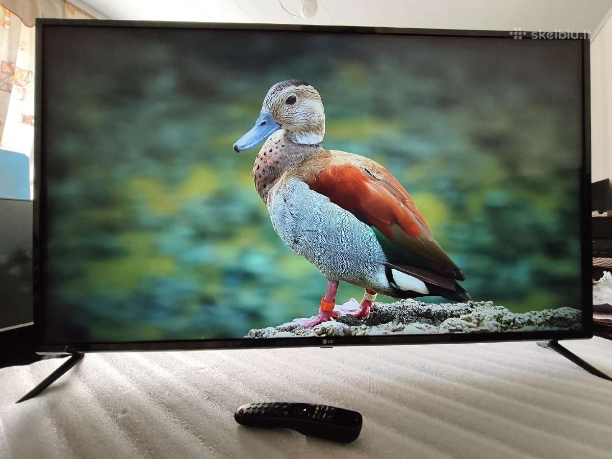 LG 49" 124cm Smart 4k Uhd Wi-fi - nuotraukos Nr. 5