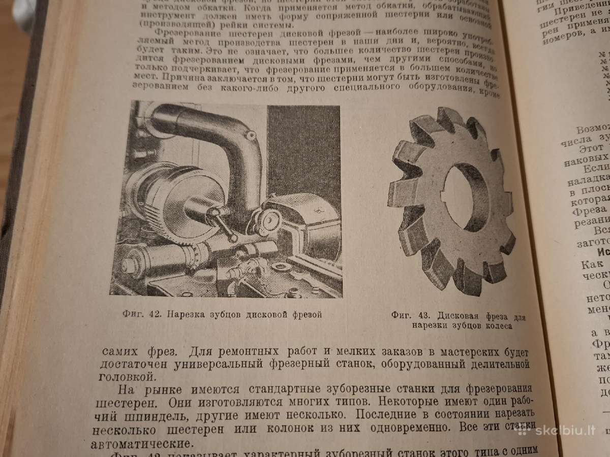 Cilindriniai krumpliaračiai - nuotraukos Nr. 12
