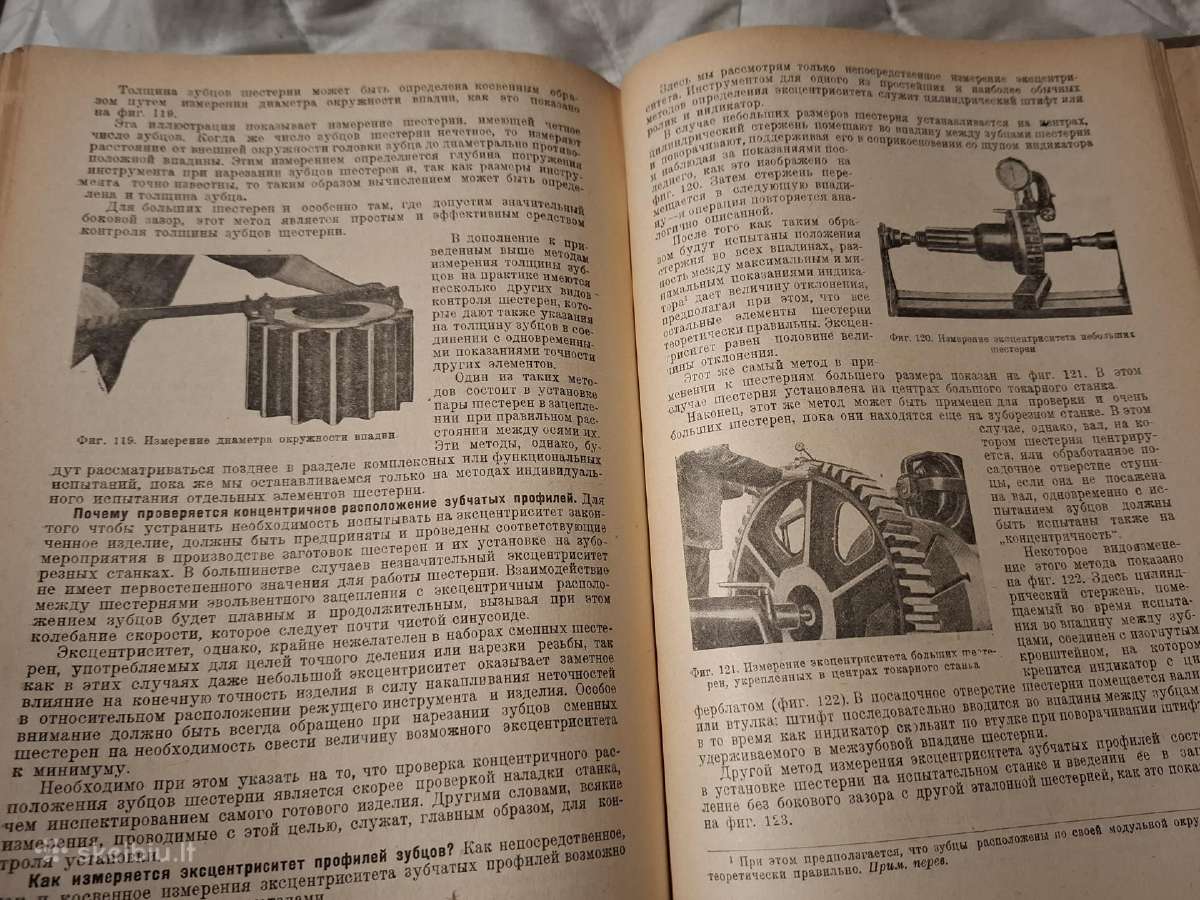 Cilindriniai krumpliaračiai - nuotraukos Nr. 13