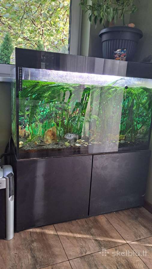 Akvariumas su filtru - nuotraukos Nr. 3
