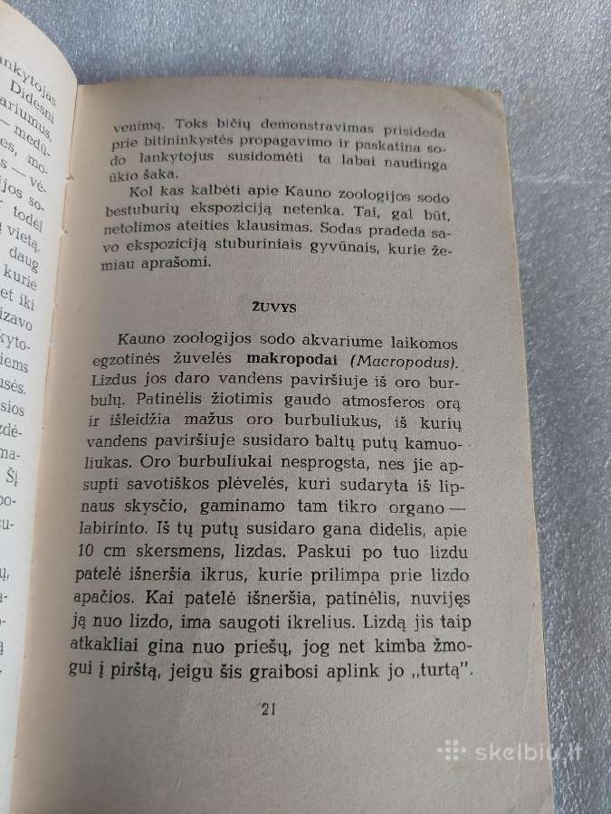 Kauno zoologijos sodas - nuotraukos Nr. 3