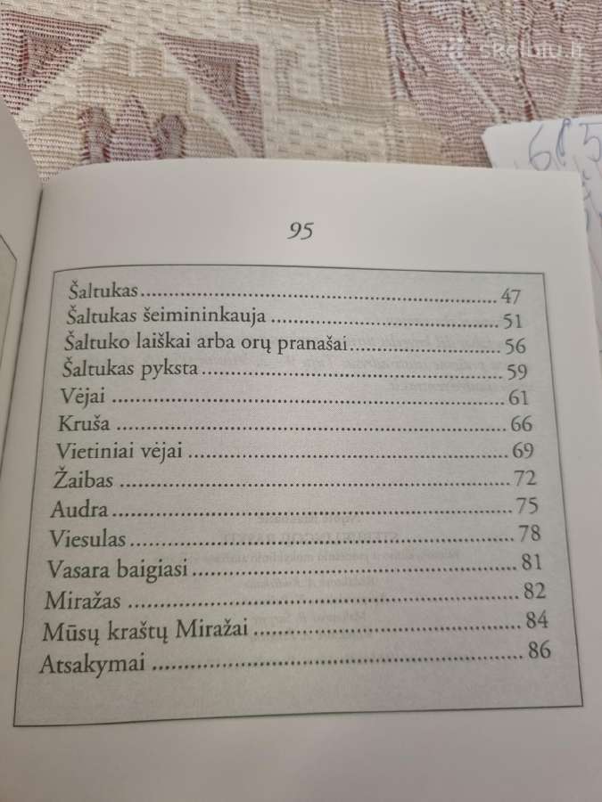 Stebuklingoji Rasytė - nuotraukos Nr. 6