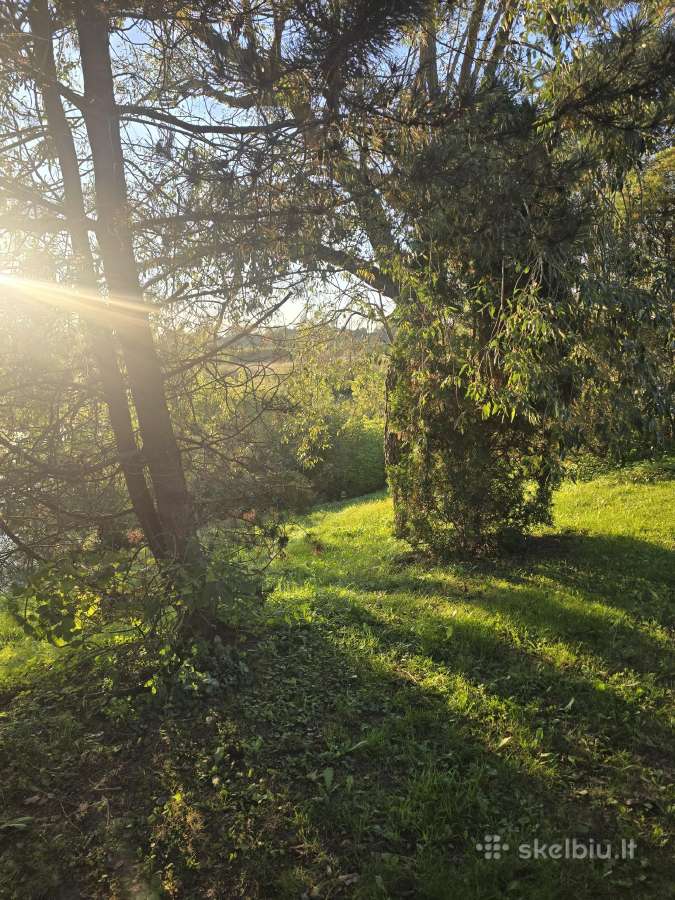 Parduodamas sklypas ant Nevėžio kranto (skardžio) - nuotraukos Nr. 35