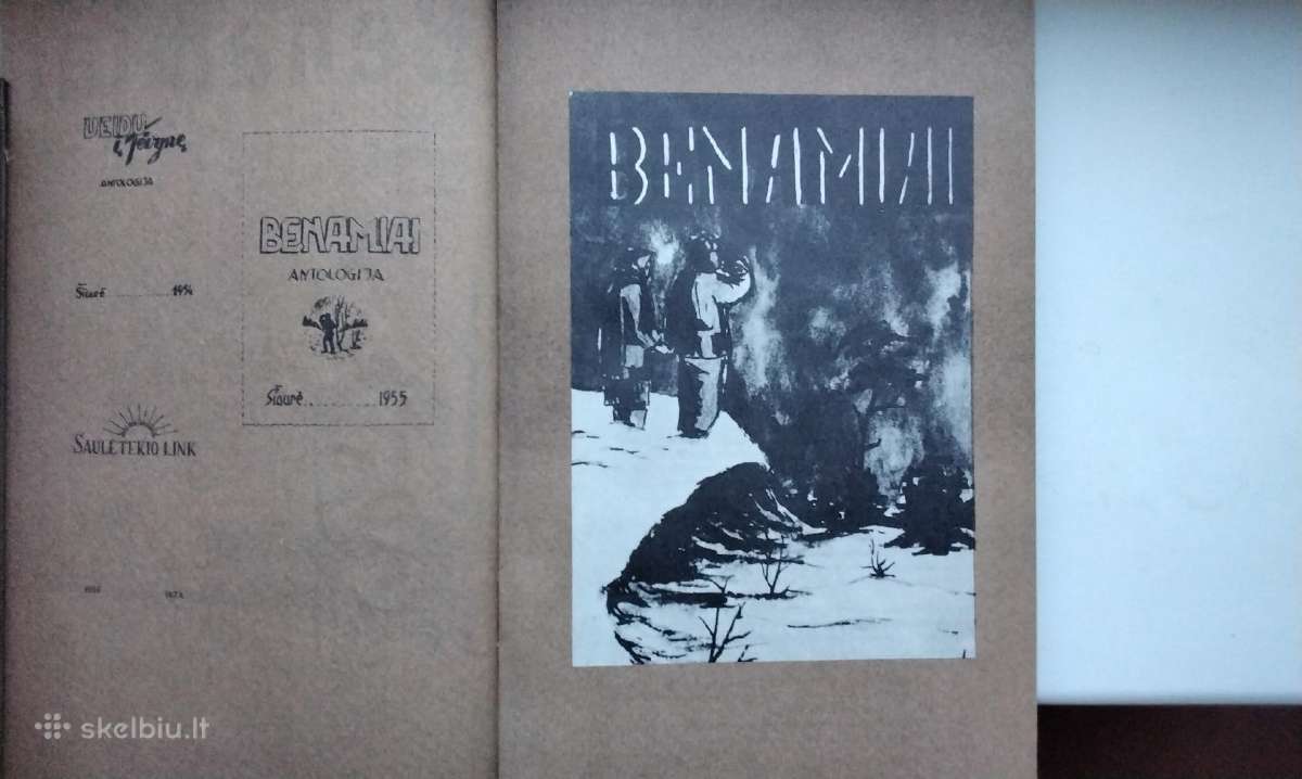 Intos tremtinių poezija. 1989 m. leid. - nuotraukos Nr. 4