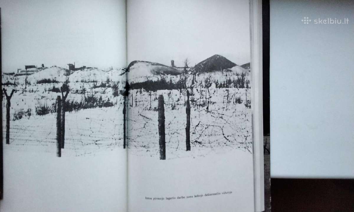Intos tremtinių poezija. 1989 m. leid. - nuotraukos Nr. 10