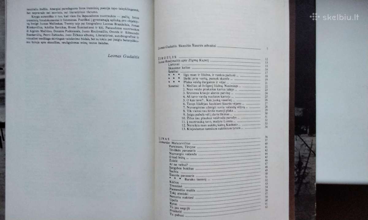 Intos tremtinių poezija. 1989 m. leid. - nuotraukos Nr. 15