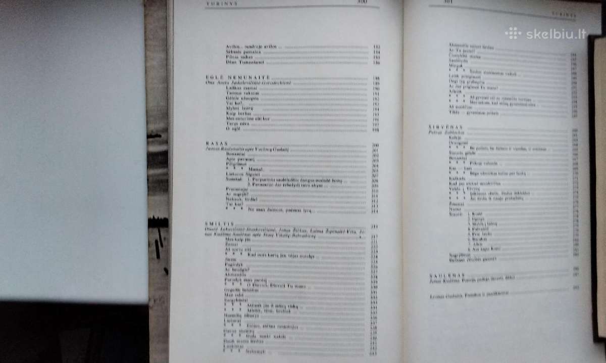 Intos tremtinių poezija. 1989 m. leid. - nuotraukos Nr. 17