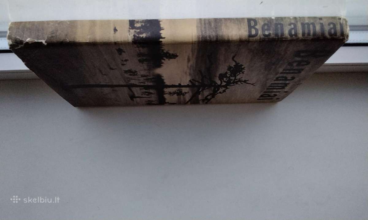 Intos tremtinių poezija. 1989 m. leid. - nuotraukos Nr. 18