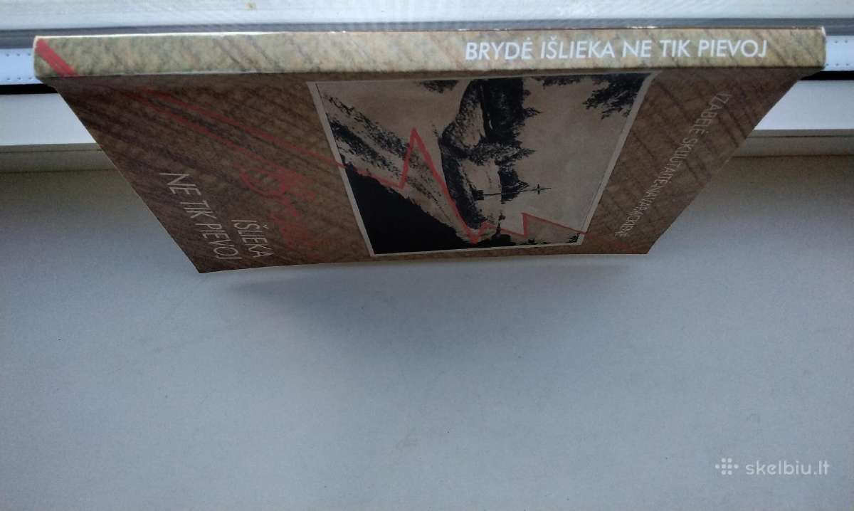 I. Navarackienė. Brydė išlieka ne tik pievoj.2000 - nuotraukos Nr. 13