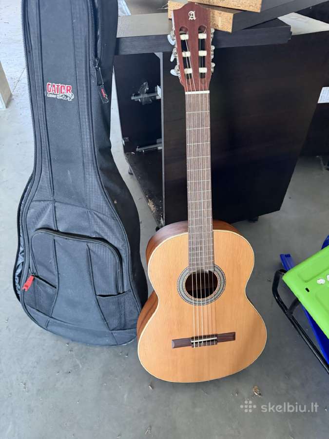 Gitara - nuotraukos Nr. 2