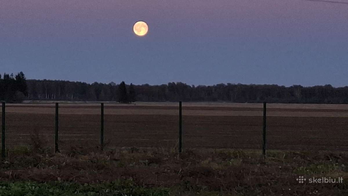 Parduodamas žemės sklypas-namų valda 0,14ha - nuotraukos Nr. 26