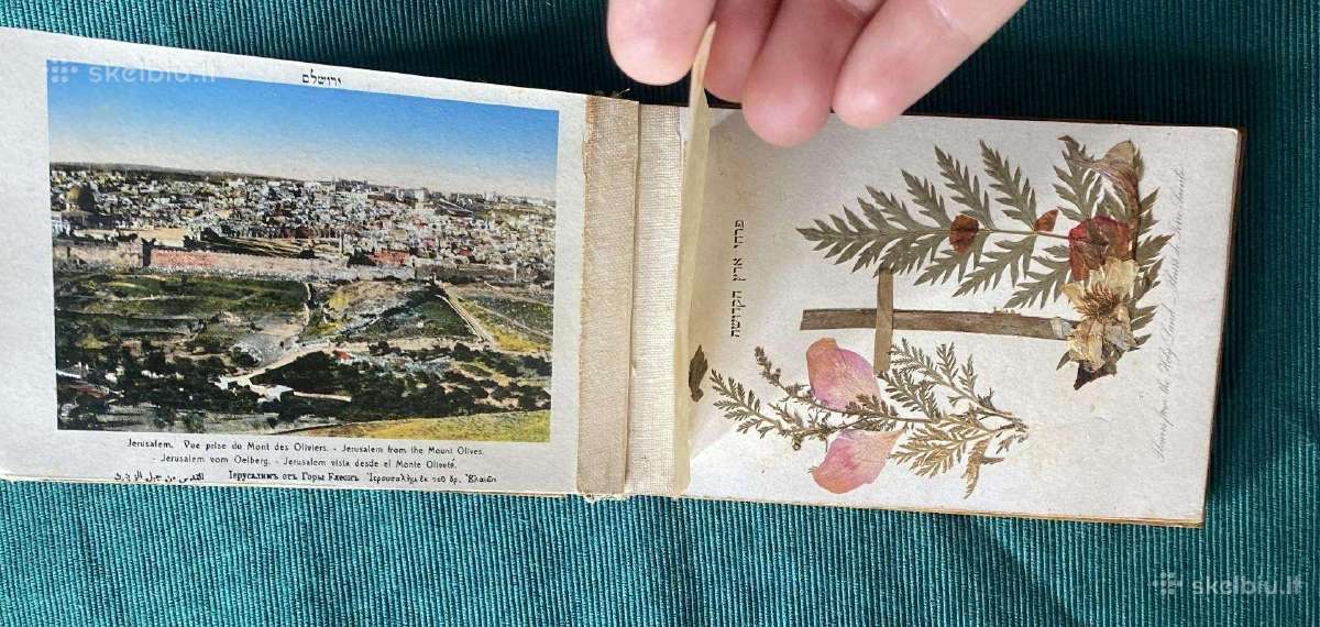 Antikvarinis alyvmedžio albumas Jerusalem su gėlė - nuotraukos Nr. 6
