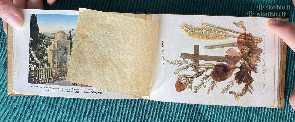 Antikvarinis alyvmedžio albumas Jerusalem su gėlė - nuotraukos Nr. 9