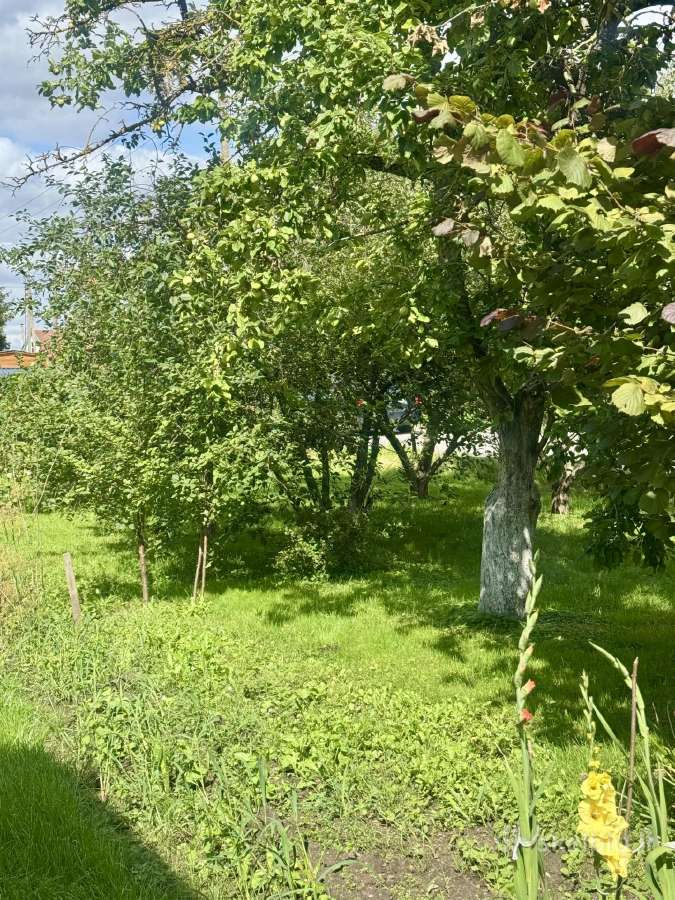 Parduodamas sodas Pakruojo Bendrijoje Pušelė - nuotraukos Nr. 4