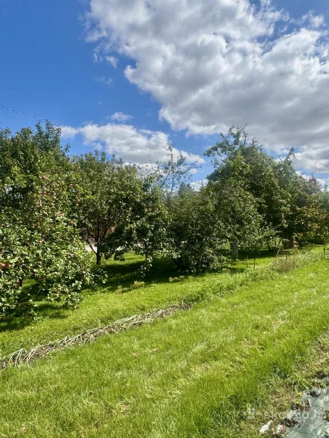 Parduodamas sodas Pakruojo Bendrijoje Pušelė - nuotraukos Nr. 6
