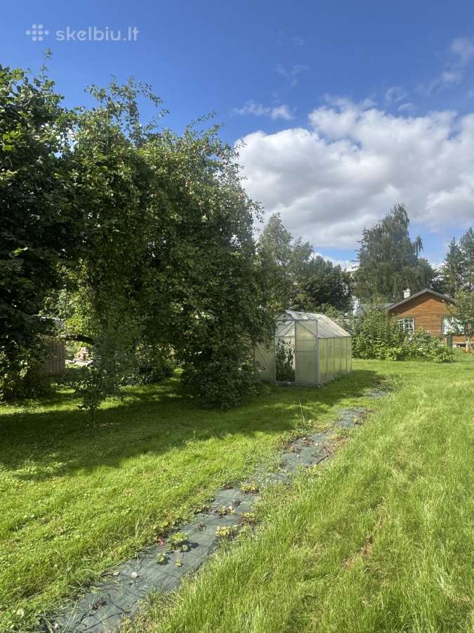 Parduodamas sodas Pakruojo Bendrijoje Pušelė - nuotraukos Nr. 7