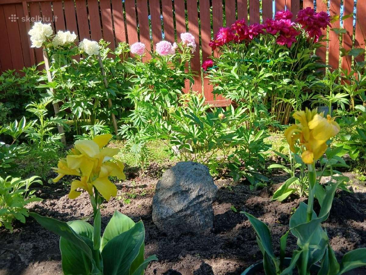 Parduodamas žemės sklypas - nuotraukos Nr. 10