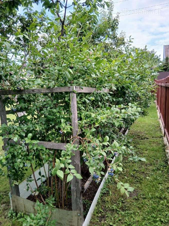 Parduodamas žemės sklypas - nuotraukos Nr. 14