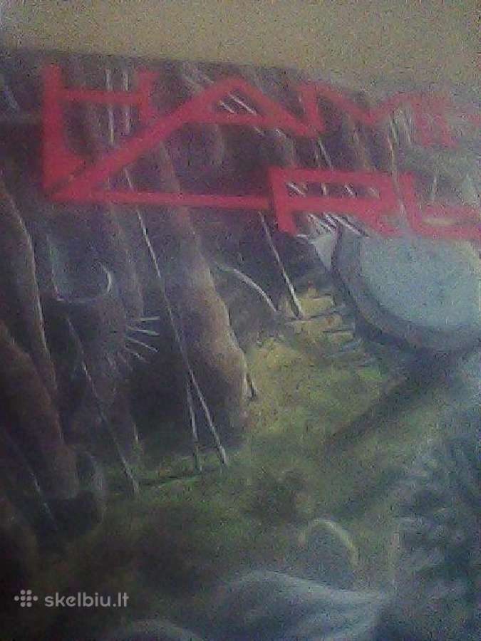 Vinilinės plokštelės - nuotraukos Nr. 11