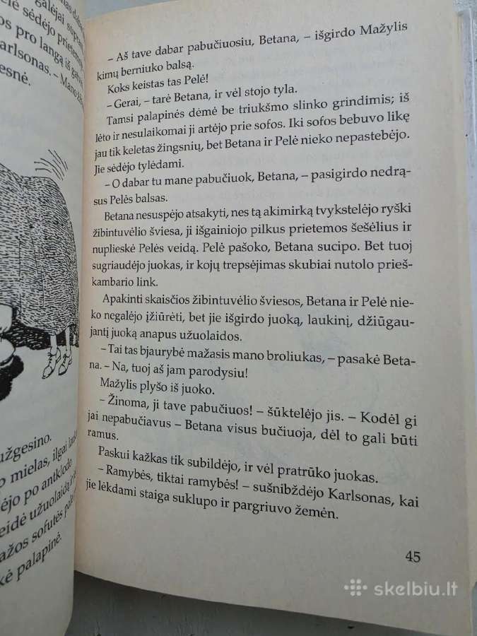 Nauja knyga - nuotraukos Nr. 10