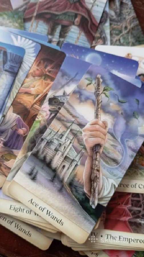 Calandra Tarot kortos - nuotraukos Nr. 9