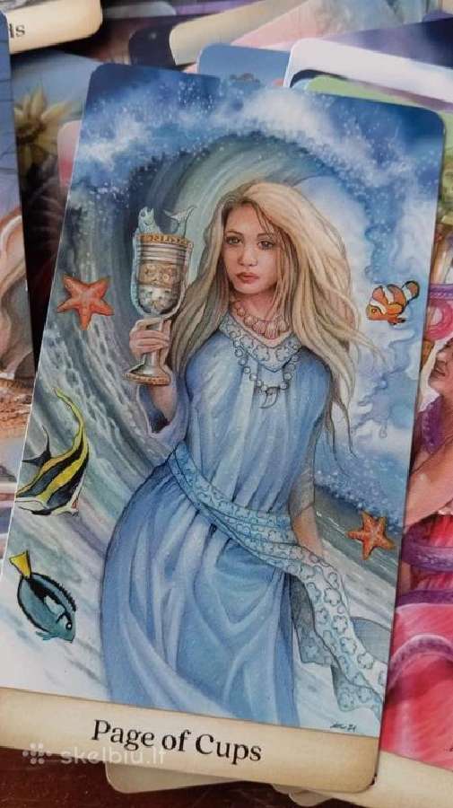 Calandra Tarot kortos - nuotraukos Nr. 12
